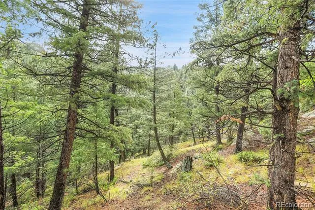 TBD Mountain Park Road Evergreen, CO 80439