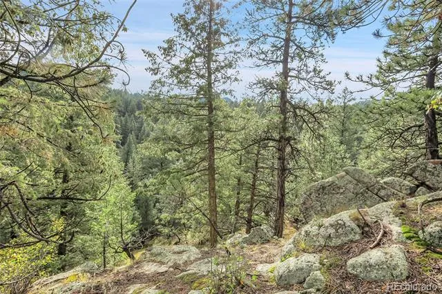 TBD Mountain Park Road Evergreen, CO 80439