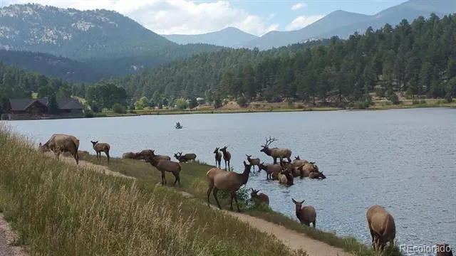 TBD Mountain Park Road Evergreen, CO 80439