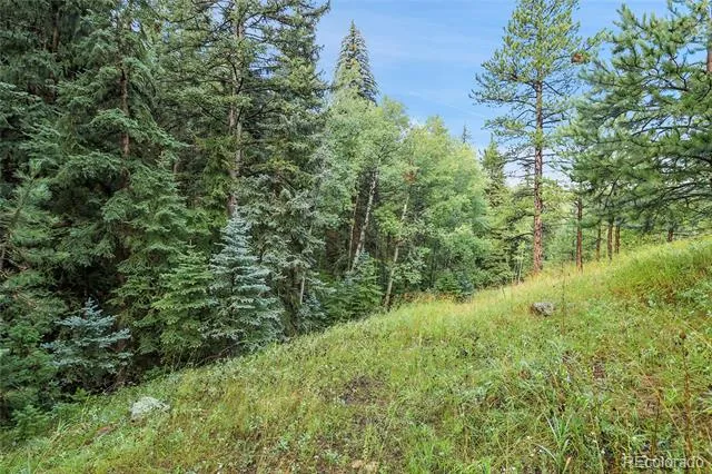 TBD Mountain Park Road Evergreen, CO 80439