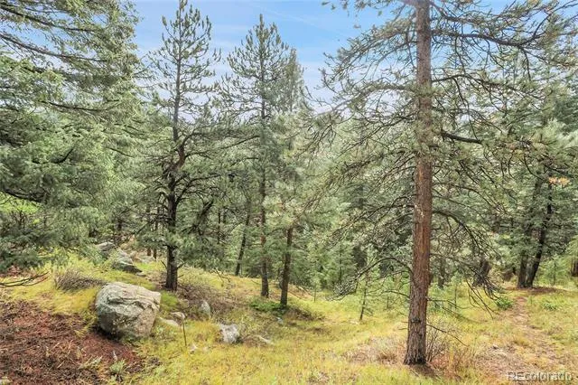 TBD Mountain Park Road Evergreen, CO 80439