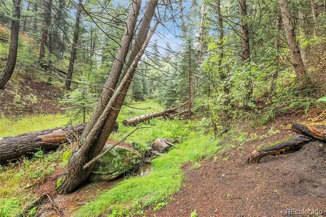 TBD Mountain Park Road Evergreen, CO 80439