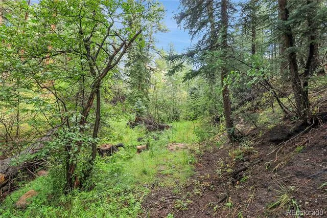 TBD Mountain Park Road Evergreen, CO 80439