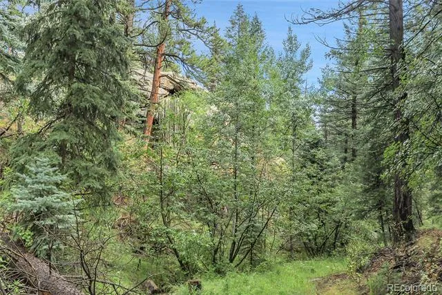 TBD Mountain Park Road Evergreen, CO 80439