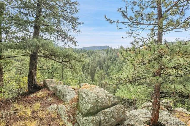TBD Mountain Park Road Evergreen, CO 80439