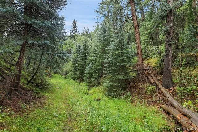 TBD Mountain Park Road Evergreen, CO 80439