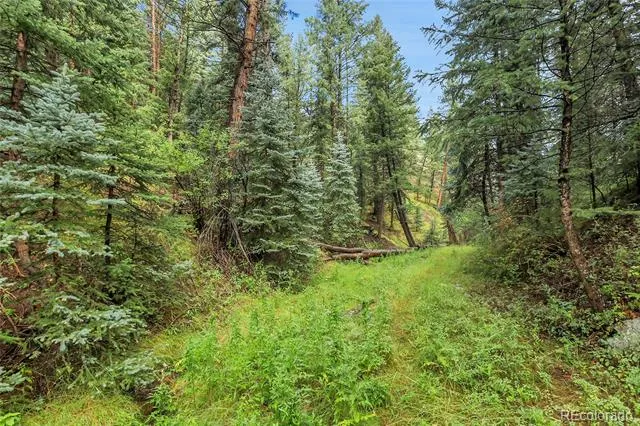 TBD Mountain Park Road Evergreen, CO 80439