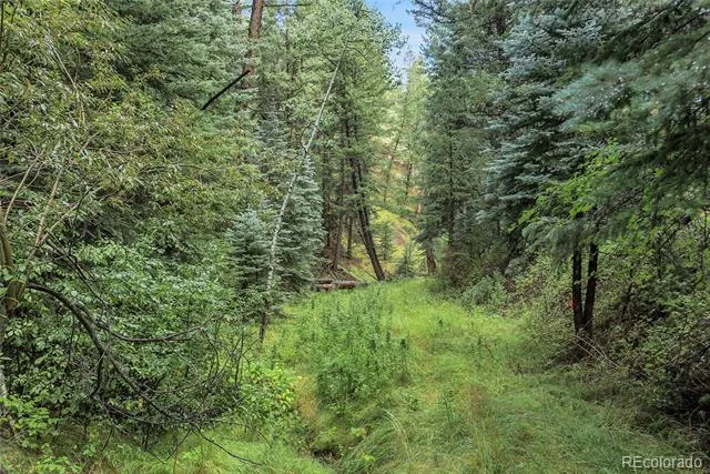TBD Mountain Park Road Evergreen, CO 80439