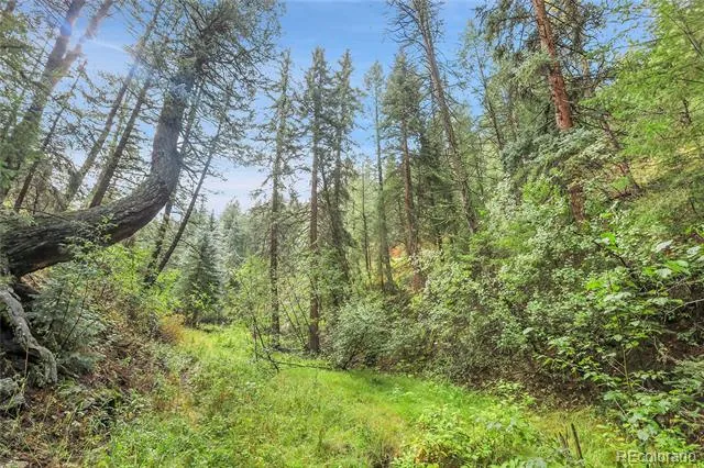 TBD Mountain Park Road Evergreen, CO 80439