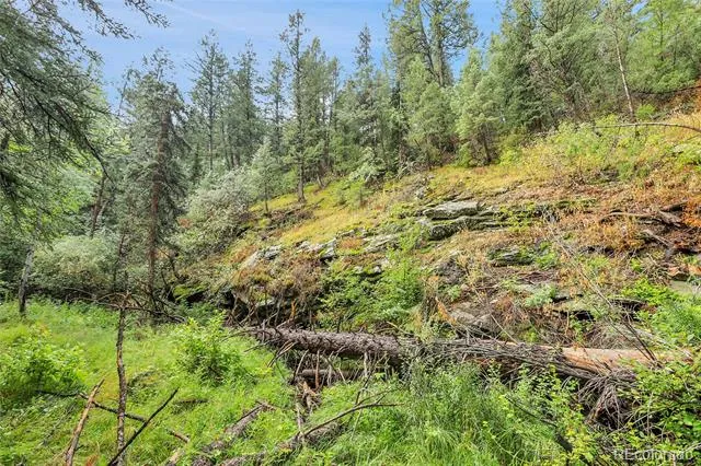 TBD Mountain Park Road Evergreen, CO 80439