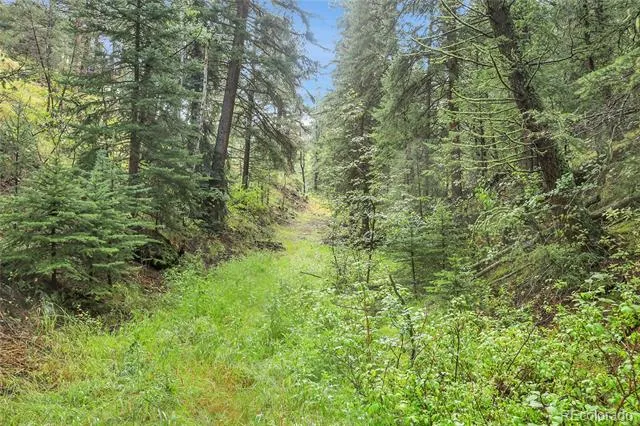 TBD Mountain Park Road Evergreen, CO 80439