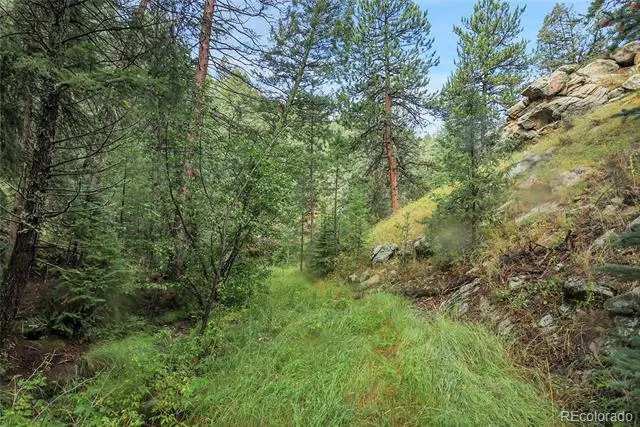 TBD Mountain Park Road Evergreen, CO 80439