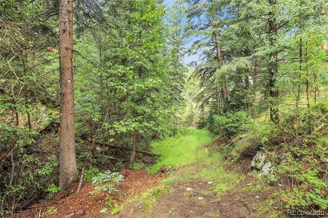 TBD Mountain Park Road Evergreen, CO 80439