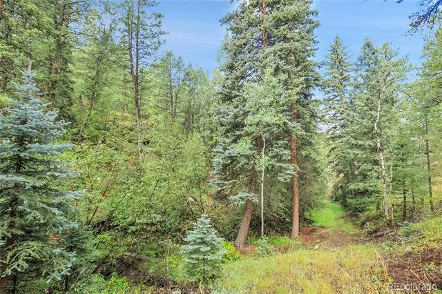 TBD Mountain Park Road Evergreen, CO 80439