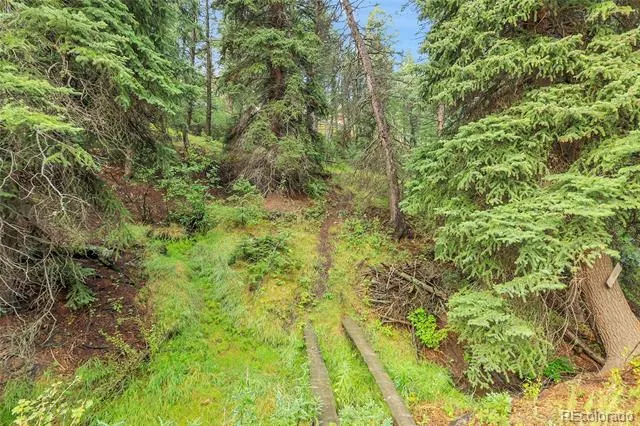 TBD Mountain Park Road Evergreen, CO 80439