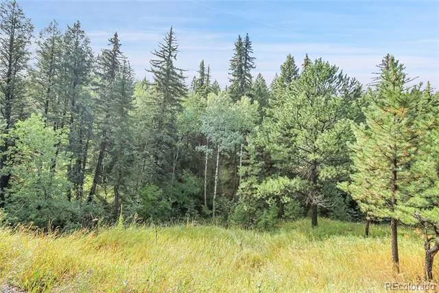 TBD Mountain Park Road Evergreen, CO 80439