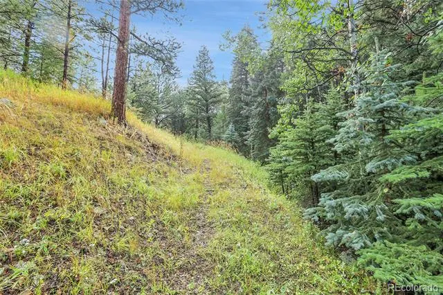 TBD Mountain Park Road Evergreen, CO 80439