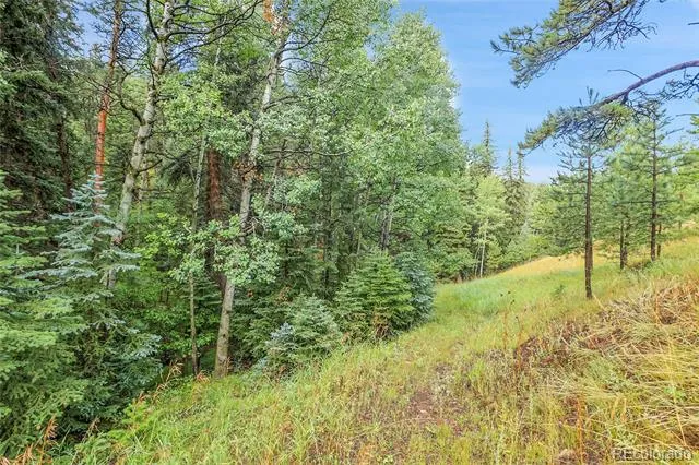 TBD Mountain Park Road Evergreen, CO 80439