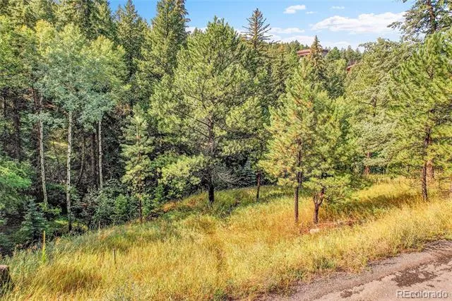 TBD Mountain Park Road Evergreen, CO 80439