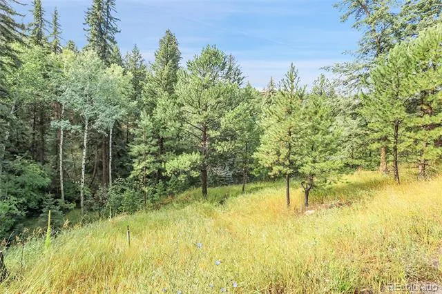 TBD Mountain Park Road Evergreen, CO 80439