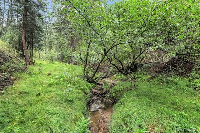 TBD Mountain Park Road Evergreen, CO 80439