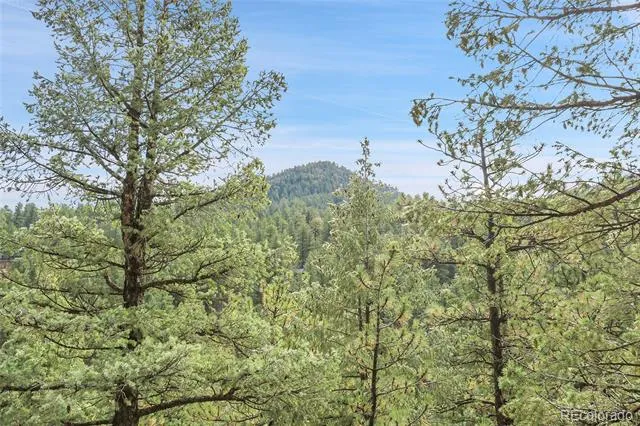 TBD Mountain Park Road Evergreen, CO 80439