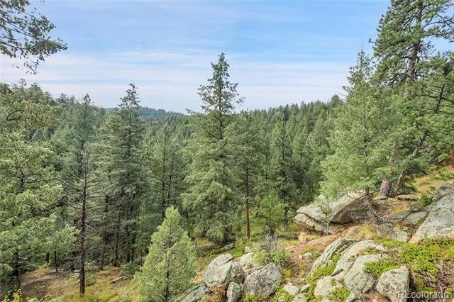 TBD Mountain Park Road Evergreen, CO 80439