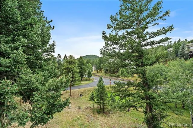 31180 Cinnamonwood Evergreen, CO 80439