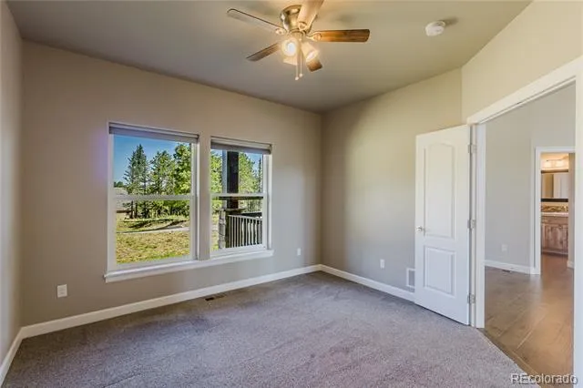 407 Silvermoon Heights Divide, CO 80814