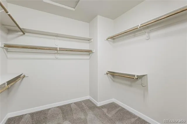 407 Silvermoon Heights Divide, CO 80814
