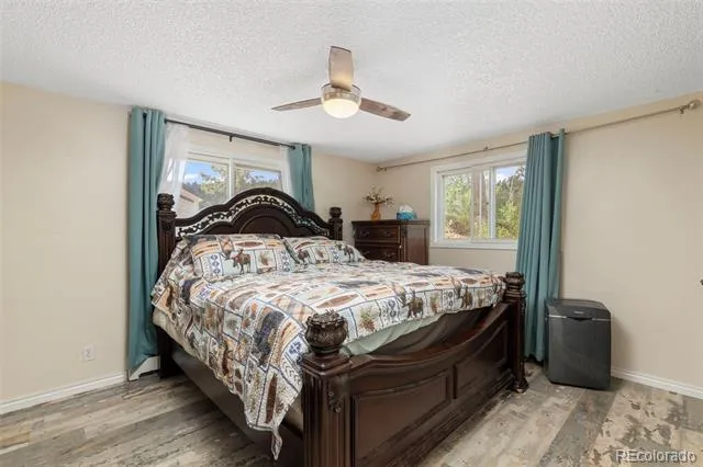 33758 Harmon Road Pine, CO 80470
