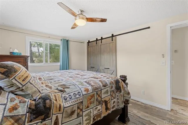 33758 Harmon Road Pine, CO 80470