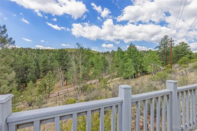 33758 Harmon Road Pine, CO 80470