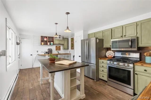 33758 Harmon Road Pine, CO 80470