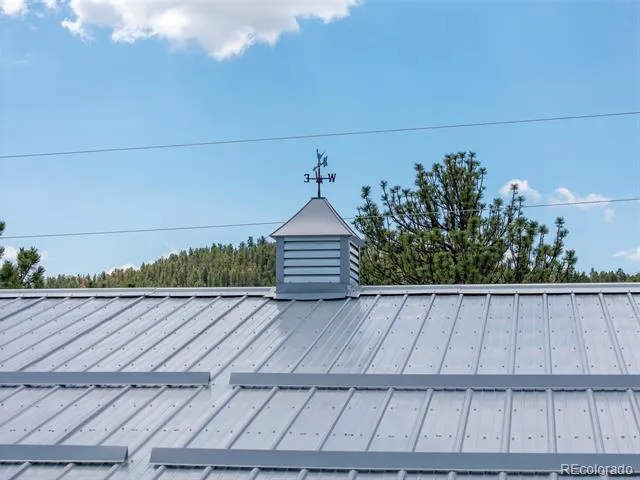 33758 Harmon Road Pine, CO 80470
