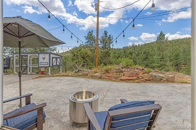 33758 Harmon Road Pine, CO 80470
