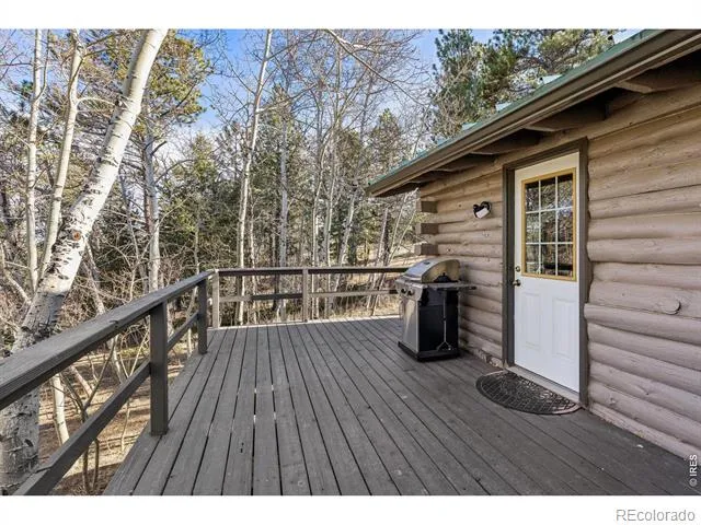 150 Mount Fisher Court Livermore, CO 80536