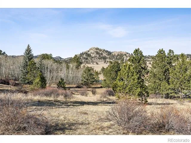 150 Mount Fisher Court Livermore, CO 80536