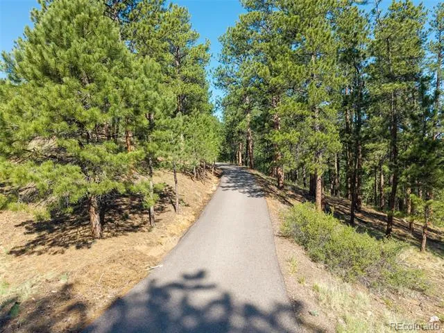 2828 Quartz Ridge Road Evergreen, CO 80439