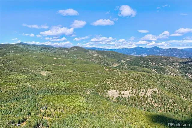 8352 Martin Lane Conifer, CO 80433