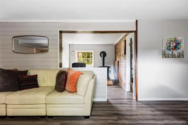 133 Gold Run Road Alma, CO 80440