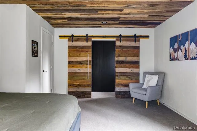 133 Gold Run Road Alma, CO 80440