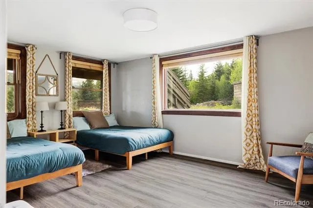 133 Gold Run Road Alma, CO 80440