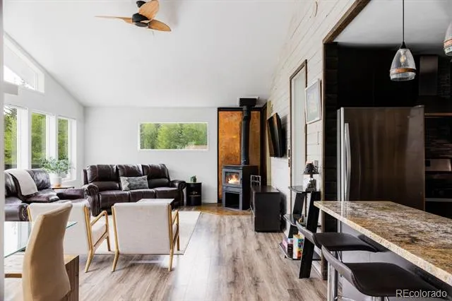 133 Gold Run Road Alma, CO 80440