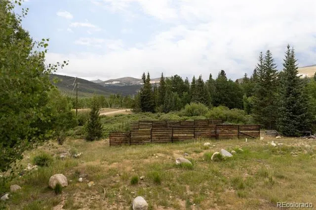 133 Gold Run Road Alma, CO 80440