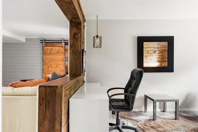 133 Gold Run Road Alma, CO 80440