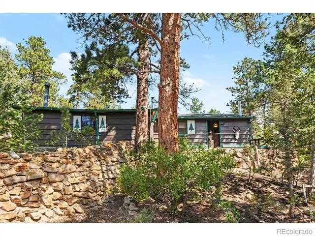 360 Ski Road E Allenspark, CO 80510