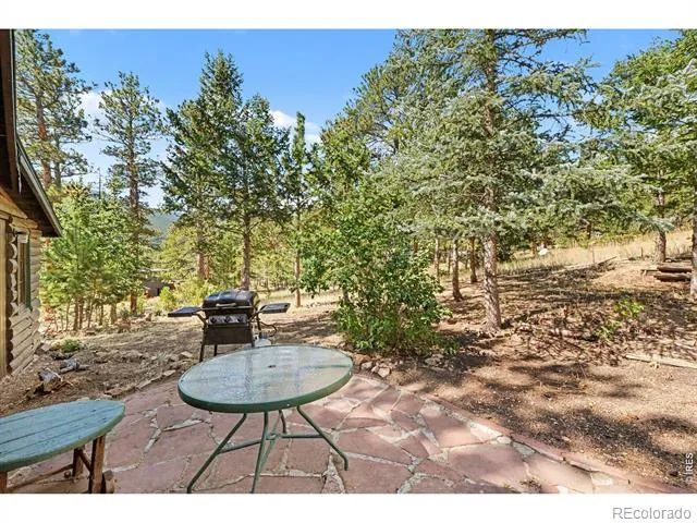 360 Ski Road E Allenspark, CO 80510