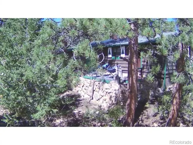 360 Ski Road E Allenspark, CO 80510