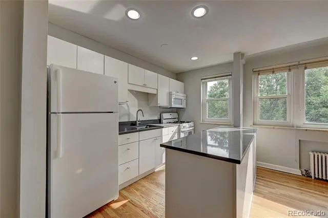 505 Logan Street #6 Denver, CO 80203